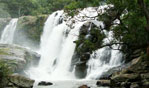Nyayamakad Water Falls