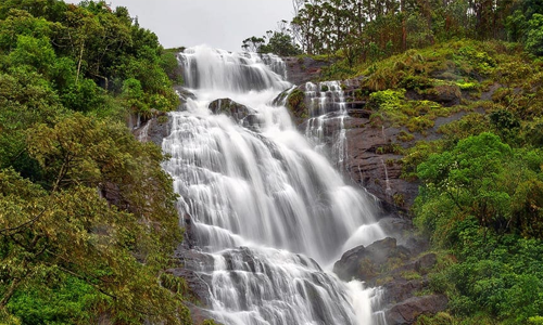 Vrindhavan Mist City, A Hilltop Resort Born in Nature, Kanthalloor, Munnar, Kerala, India