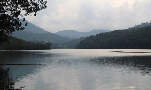 Vrindhavan Mist City, A Hilltop Resort Born in Nature, Kanthalloor, Munnar, Kerala, India