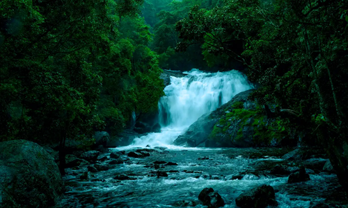 Vrindhavan Mist City, A Hilltop Resort Born in Nature, Kanthalloor, Munnar, Kerala, India