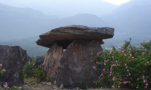 Vrindhavan Mist City, A Hilltop Resort Born in Nature, Kanthalloor, Munnar, Kerala, India