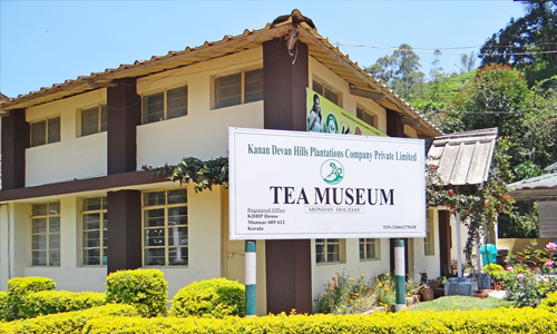 Vrindhavan Mist City, A Hilltop Resort Born in Nature, Kanthalloor, Munnar, Kerala, India