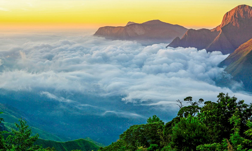 Vrindhavan Mist City, A Hilltop Resort Born in Nature, Kanthalloor, Munnar, Kerala, India