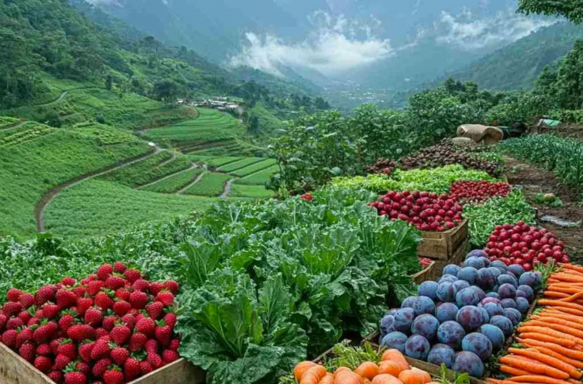 Vrindhavan Mist City, A Hilltop Resort Born in Nature, Kanthalloor, Munnar, Kerala, India