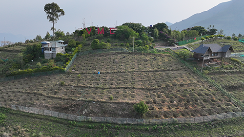 Vrindhavan Mist City, A Hilltop Resort Born in Nature, Kanthalloor, Munnar, Kerala, India