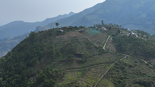 Vrindhavan Mist City, A Hilltop Resort Born in Nature, Kanthalloor, Munnar, Kerala, India
