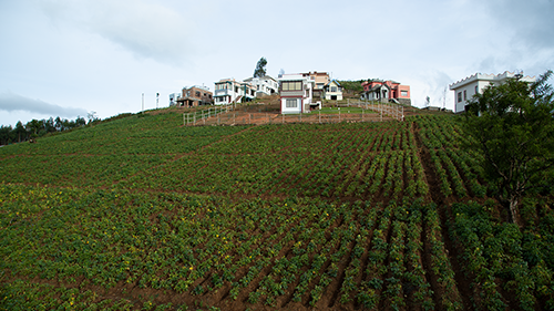 Vrindhavan Mist City, A Hilltop Resort Born in Nature, Kanthalloor, Munnar, Kerala, India