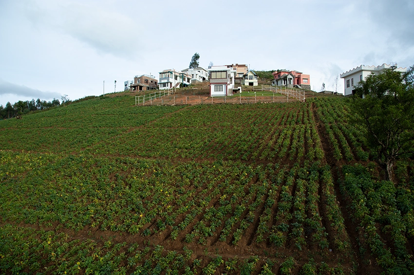 Vrindhavan Mist City, A Hilltop Resort Born in Nature, Kanthalloor, Munnar, Kerala, India